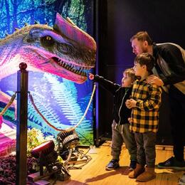 Dino Safari: A Walk Thru Adventure