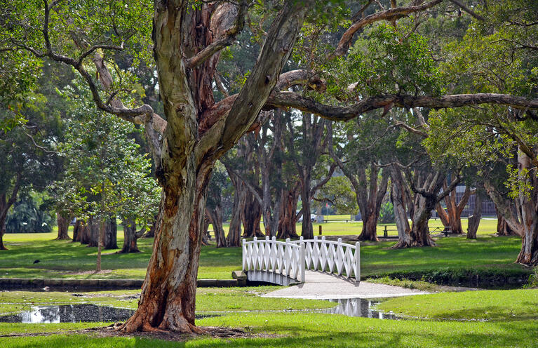 Centennial park.jpg