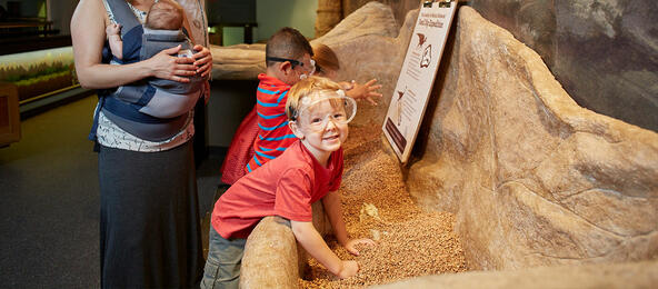 Academy of Natural Science Museum Discount Tickets | Go ...