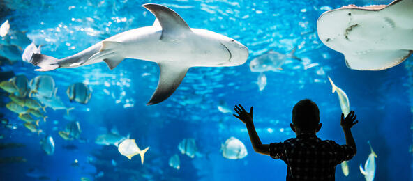 Adventure Aquarium Philadelphia Discount Tickets | Go City®