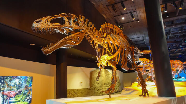 Academy of Natural Science