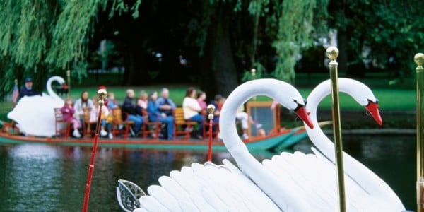 The-Swan-Boats-of-Boston-1