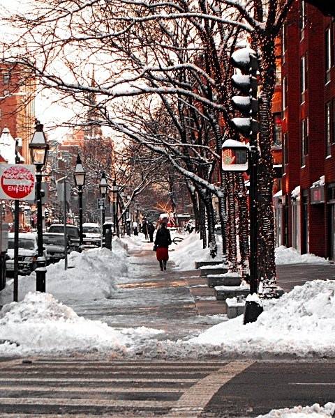 It's pretty enough just covered in snow! Image credit: Newbury Street Facebook page.
