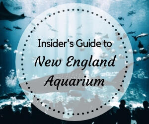 Boston Aquarium Discount Tickets & Tips - Save Up to 55% Off