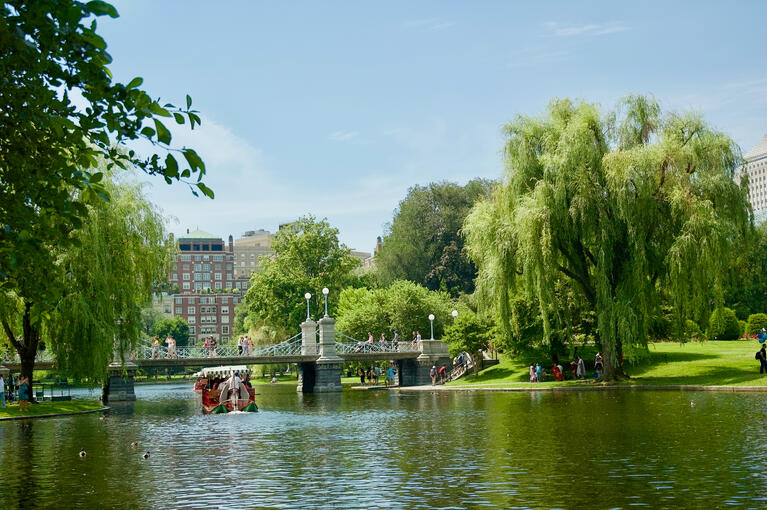Swan Boat