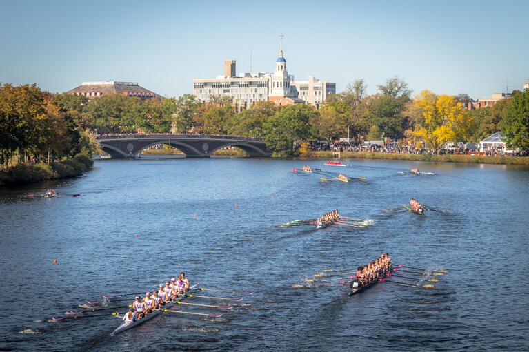 rowing