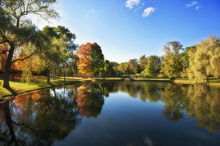 park