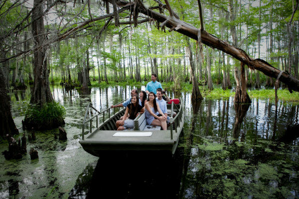 Swamp adventure New Orleans