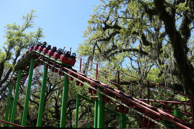 New Orleans City Park