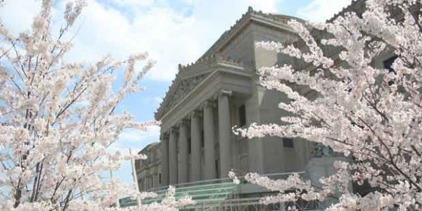brooklyn-museum-and-botanical-gardens-new-york-city-museums