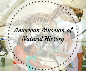 New York Museum of Natural History Discount Tickets - Save Up ...