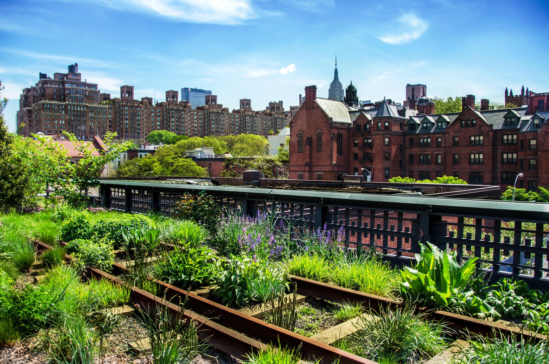 The High Line Archdaily