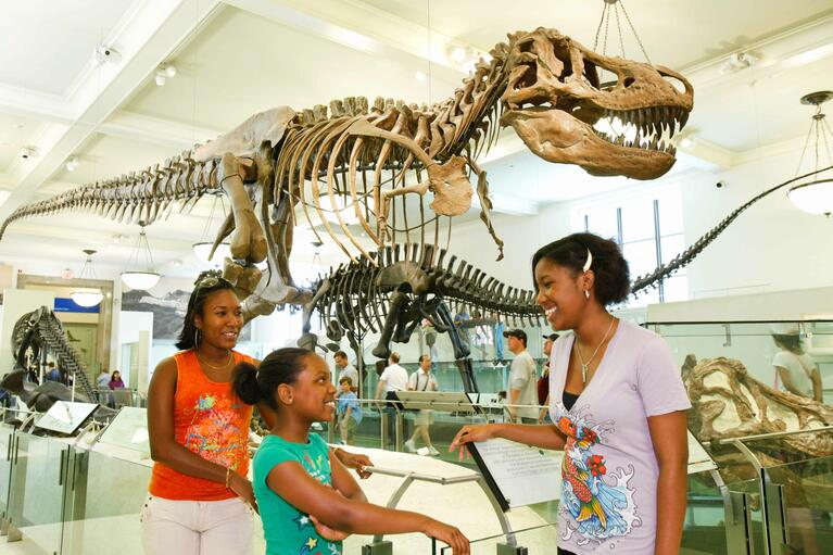 American Museum of Natural History tickets discount | New York Explorer Pass
