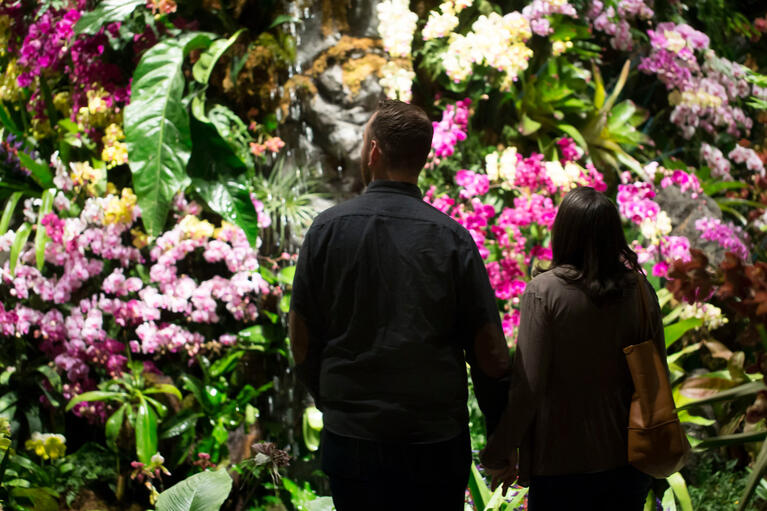 botanics