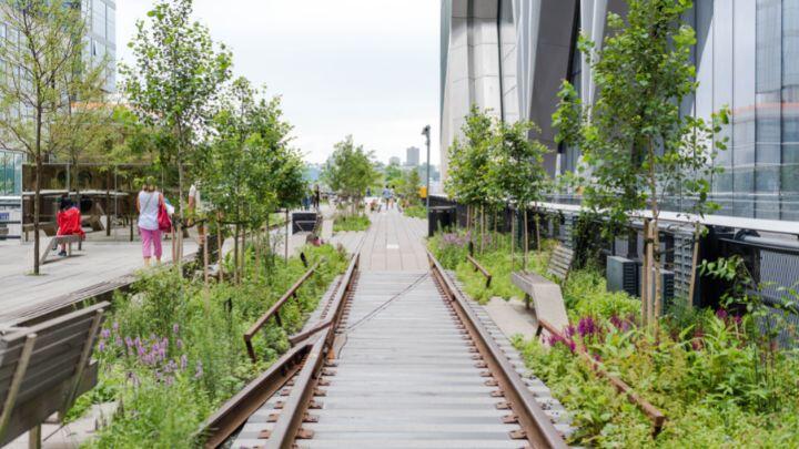 Walkway of the High Line, NYC, surrounded by planting, recedes into distance.