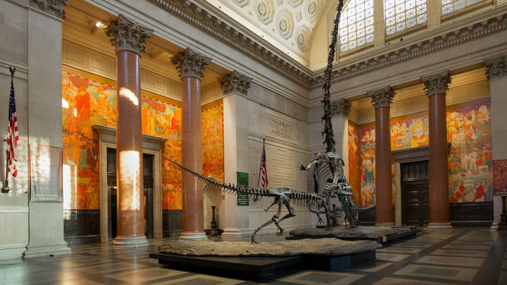 Natural History Museum