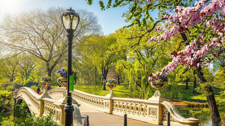central park new york