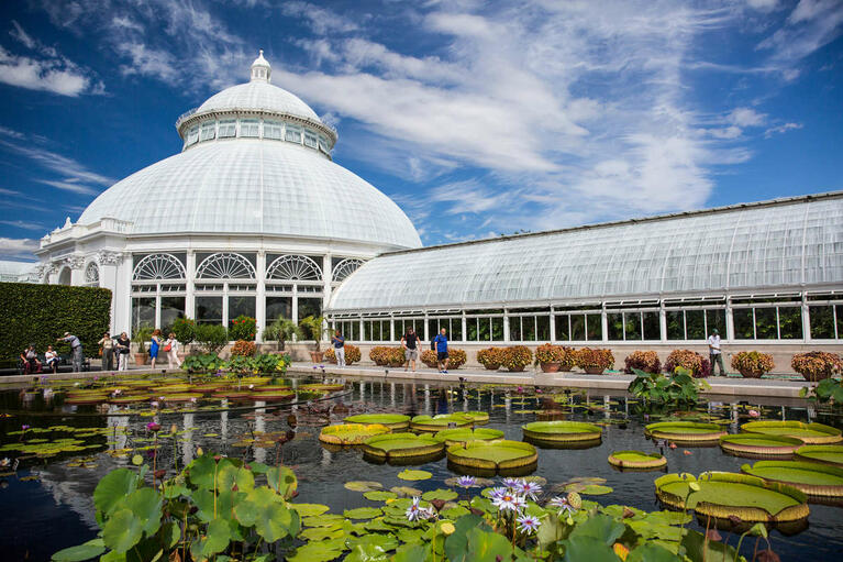 NY Botanic Garden