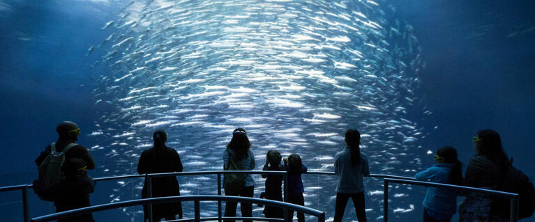 National Geographic Encounter Tickets | New York Explorer Pass