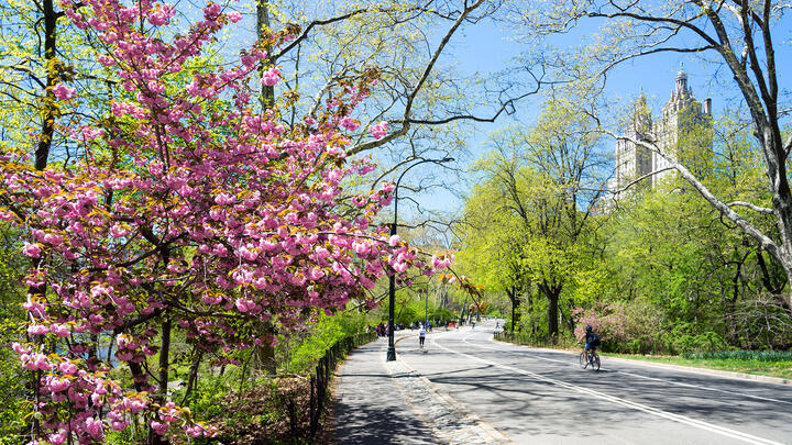 Central Park