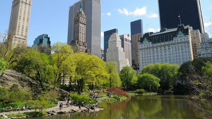 Plaza New York