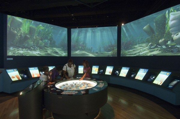 A curved projection surrounds visitors with a recreation of the ancient sea and its various life forms.