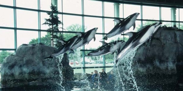 shedd-aquarium-chicago-museums