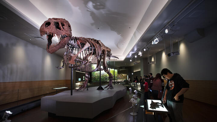 Field Museum