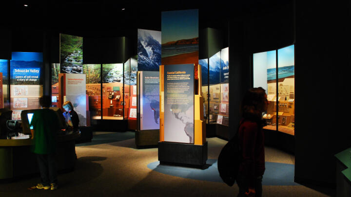 guide to the field museum