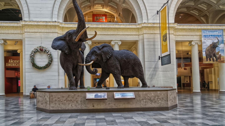 guide to the field museum