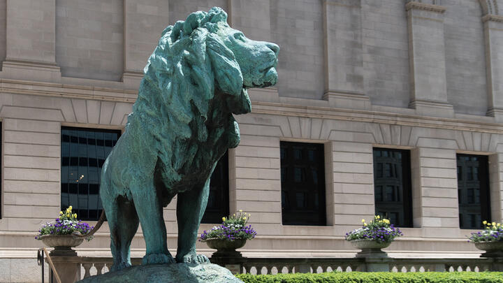 things to do in the loop chicago