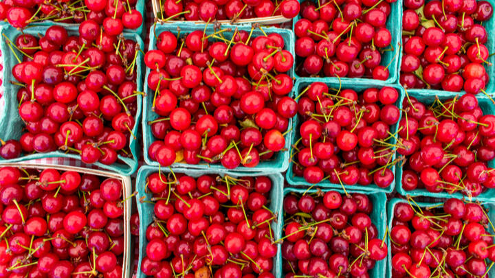 Things to do in West Loop Chicago