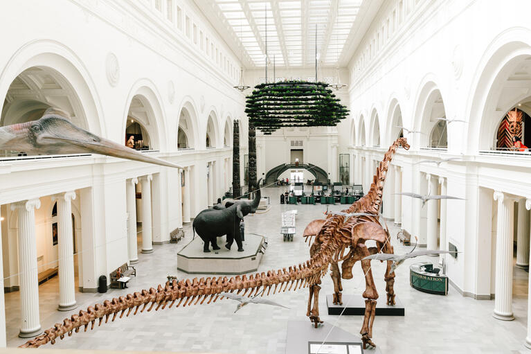 Museo Field Historia Natural, Chicago en familia