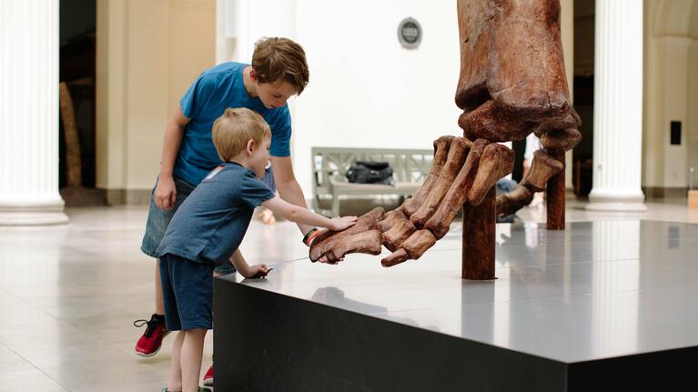 Children at the Field Museum Chicago