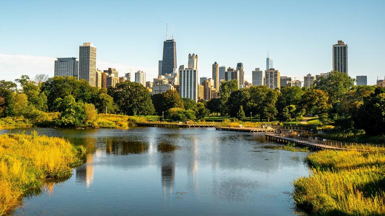 View of the Chicago Skyline from Lincoln Park