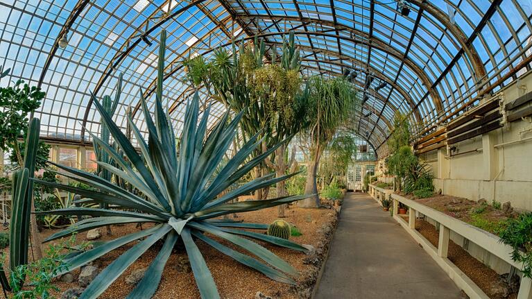 One of the glasshouses at Garfield Park Conservatory
