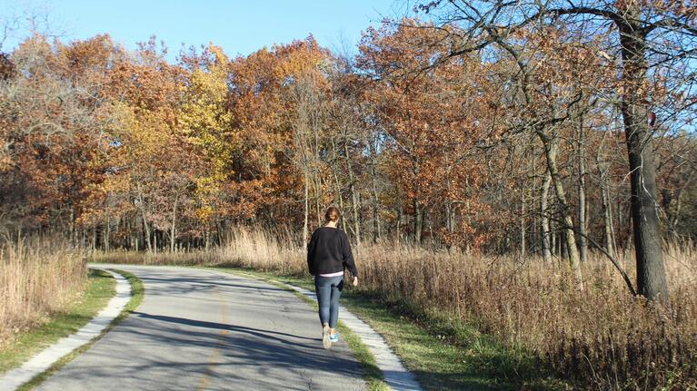A typical segment of the North Shore Channel Trail in Chicago