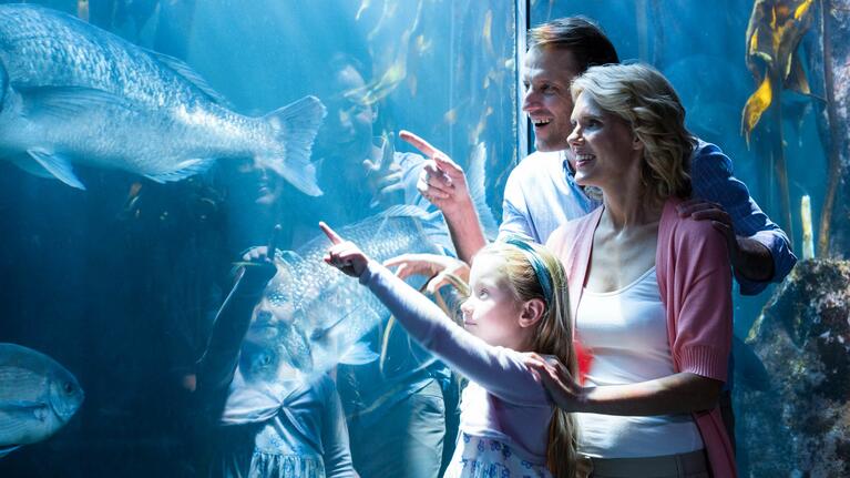 Shedd Aquarium Chicago