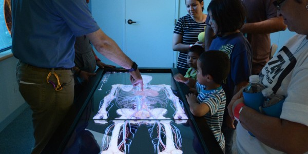H-E-B Body Adventure exhibit at the Witte Museum in San Antonio is designed to educate kids about healthy living