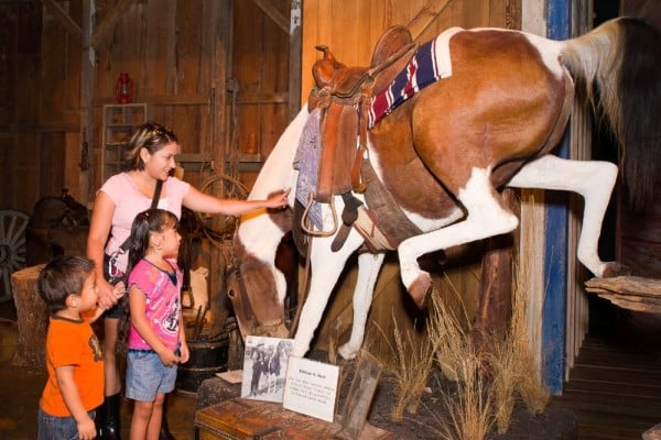 buckhorn saloon texas ranger Horse & Family