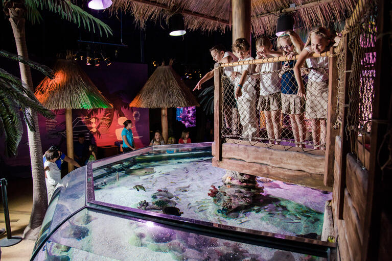 SEA LIFE San Antonio