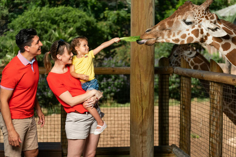 San Antonio Zoo | Go San Antonio Pass