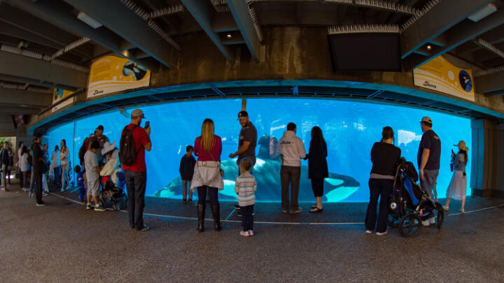 guide to seaworld san antonio