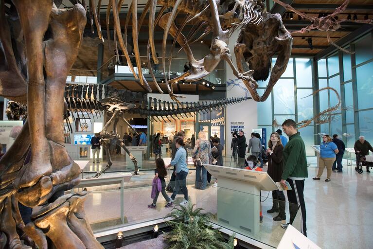 Witte Museum