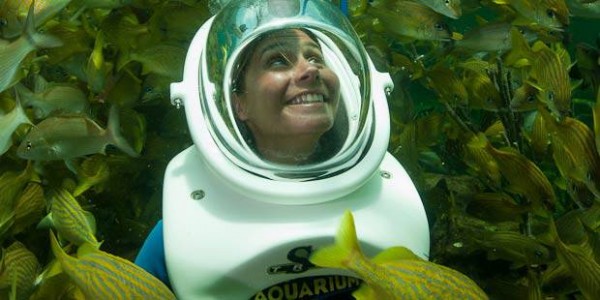 Miami-Seaquarium-Sea-Trek-Reef-Encounter-1