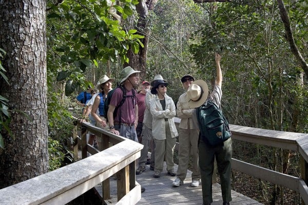 Ranger Guided Hikes in the Florida Everglades National Park
