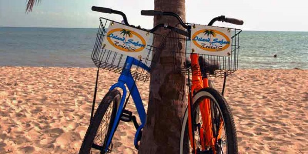 SF-Island-Safari-Bike-Rental-1