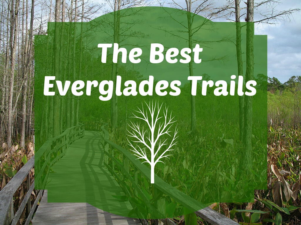 12 Best Hikes in the Everglades - Florida Hiking Trails - BEY OF