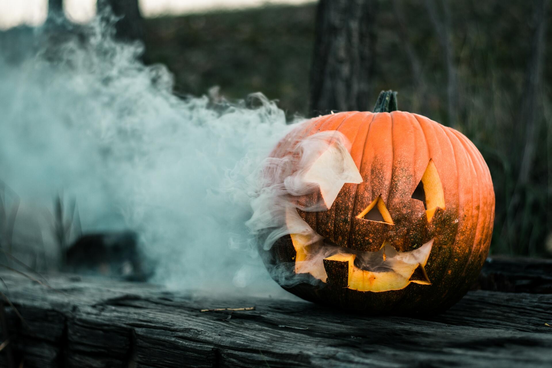 Things to Do for Halloween in Miami Go City