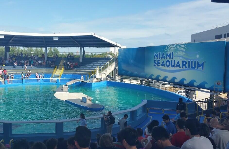 Sea Aquarium Coupons